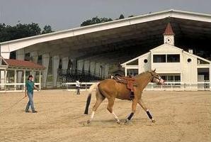 Gainesville Equestrian Center Courtesy of GA Dept of Economic Development